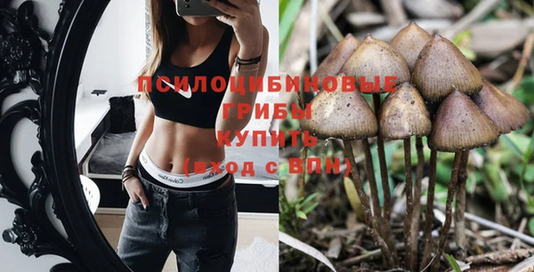 молекула духа Михайловка