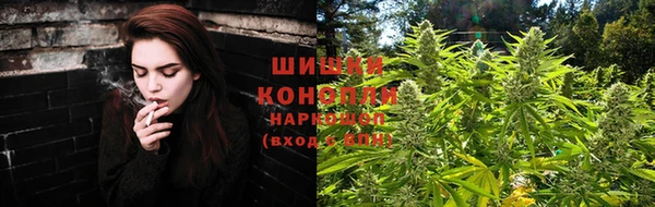 спиды Медвежьегорск